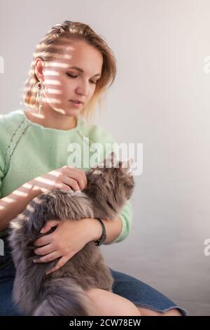 Gros plan de la belle jeune femme européenne en chandail vert avec chat domestique gris, ombre solaire des stores. Relations homme-animal. Banque D'Images