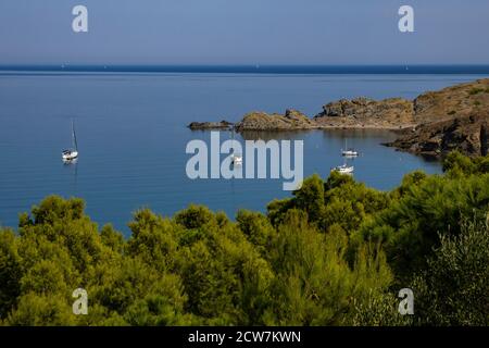 La péninsule du Cap Ras à Llanca, Costa Brava, Catalogne, Espagne Banque D'Images