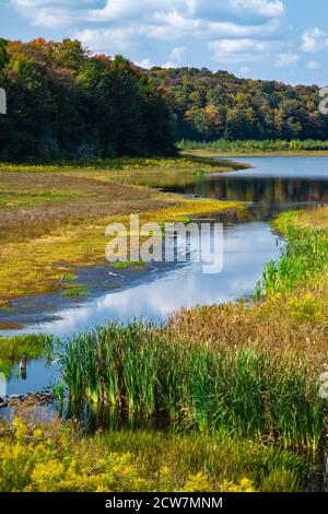 Lower Woods Pond est un lac naturel de 50 hectares situé dans le nord du comté de Wayne, en Pennsylvanie. Pendant des années, la sortie a été damée pour augmenter la taille du lac à 91 Banque D'Images