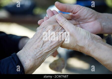 Mains d'aide. Soin pour le concept de sureau. Deux mains de womans. Banque D'Images