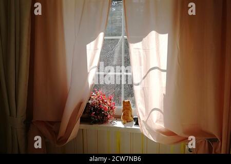 Le chat rouge jouet doux est assis sur le rebord de la fenêtre et regarde par la fenêtre. Comme un vrai chat qui attend le printemps. Rideaux aux couleurs pastel. Banque D'Images