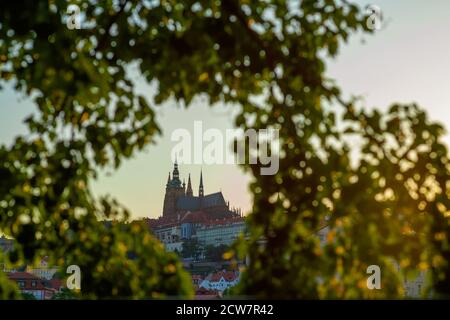 Paysage de Prague, République tchèque avec la cathédrale Saint-Vitus à travers le feuillage par une journée ensoleillée. Banque D'Images