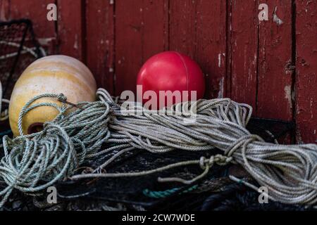 Crabes et langoustes, bouées et cordes contre un vieux mur rouge où la peinture craque Banque D'Images