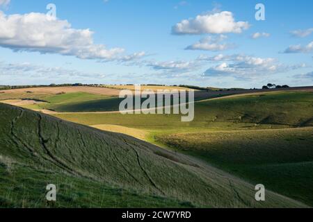 Devil's Punchbowl sur Hackpen Hill à côté du sentier de la Ridge Way, près de Wantage, Oxfordshire, Angleterre, Royaume-Uni, Europe Banque D'Images