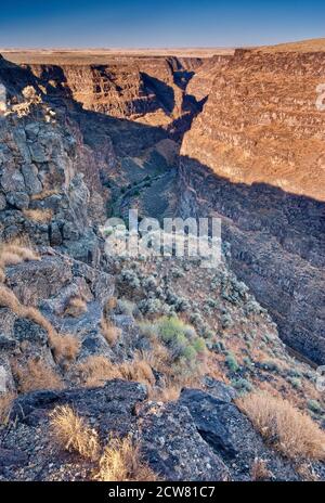 Bruneau River Canyon en haute région désertique, California, USA Banque D'Images