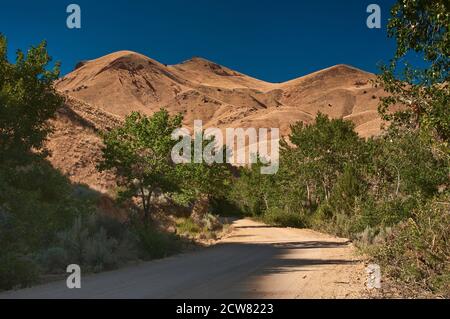 Route vers Silver City dans les montagnes Owyhee, Idaho, États-Unis Banque D'Images