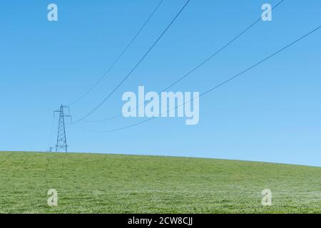 Pylône d'électricité haute tension dans le champ contre bleu ciel d'été. Pour National Grid, la distribution d'énergie, les compagnies d'électricité du Royaume-Uni, les fournisseurs d'énergie du Royaume-Uni Banque D'Images