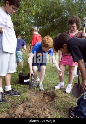 Austin, TX 1er juin 2008 : groupe multiethnique de élèves de cinquième année, aménagement paysager des plantes à leur école comme héritage de leur classe à l'école élémentaire de Barton Hills. ©Bob Daemmrich/ Banque D'Images