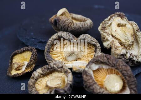 Macro gros plan de champignons shiitake chinois séchés isolés sur ardoise fond en pierre (accent sur le champignon central) Banque D'Images