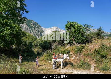 26 juin 2020, Albanie, Përmet : une famille d'agriculteurs apporte du lait de chèvre frais dans la vallée, dans les montagnes près de Permet sur un cheval. Photo: Peter Endig/dpa-Zentralbild/ZB Banque D'Images