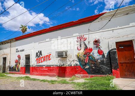 Façade d'une cantina mexicaine appelée Bar social Cócorit dans la ville de Cócorit, Sonora Mexique. Cócorit est une communauté yaqui de la municipalité de Obregon, Sonora, Mexique. Cócorit est une ville mexicaine appartenant à la municipalité de Cajeme, elle est l'une des huit villes du groupe ethnique Yaquis. Murale ou peinture de coqs et de bière Tecate (photo: Luis Gutierrez par NortePhoto.com) Fachada de Cantina mexicana llamada Bar social Cócorit en el pueblo Cócorit, Sonora Mexico. Cócorit es una comunidad Yaqui en el municipio de Obregon, Sonora, Mexique. Cócorit es un pueblo mexicano perteneciente al mun Banque D'Images