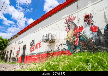 Façade d'une cantina mexicaine appelée Bar social Cócorit dans la ville de Cócorit, Sonora Mexique. Cócorit est une communauté yaqui de la municipalité de Obregon, Sonora, Mexique. Cócorit est une ville mexicaine appartenant à la municipalité de Cajeme, elle est l'une des huit villes du groupe ethnique Yaquis. Murale ou peinture de coqs et de bière Tecate (photo: Luis Gutierrez par NortePhoto.com) Fachada de Cantina mexicana llamada Bar social Cócorit en el pueblo Cócorit, Sonora Mexico. Cócorit es una comunidad Yaqui en el municipio de Obregon, Sonora, Mexique. Cócorit es un pueblo mexicano perteneciente al mun Banque D'Images