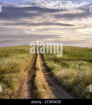 un chemin rural droit et long traverse les terres herbeuses du L'agriculture sicilienne au coucher du soleil Banque D'Images