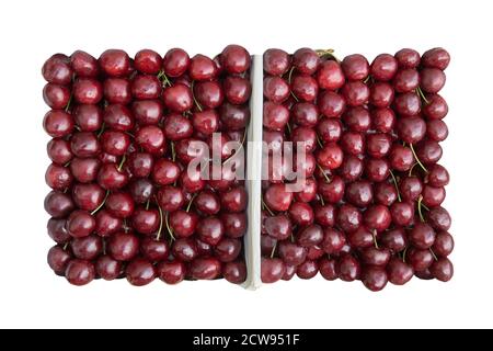 cerisier mûr doux viburnum fond de cerisier. Banque D'Images