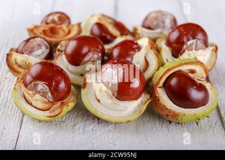 Châtaignes mûres dans leur coquille sur une table en bois. Les fruits d'un grand arbre à feuilles caduques. Arrière-plan clair. Banque D'Images