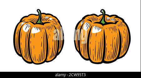 Citrouille d'Halloween. Illustration vectorielle de dessin animé Illustration de Vecteur