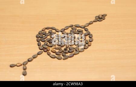 Forme de coeur faite de graines de pastèque, composition isolée sur les tables en bois Banque D'Images