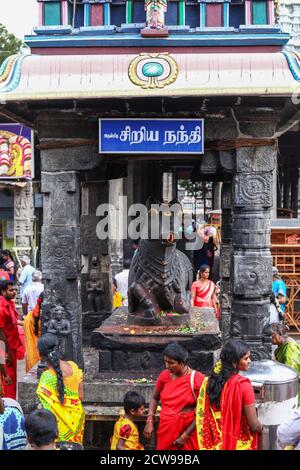 Gros plan du temple hindou avec statue géante noire Du taureau Nandi Banque D'Images