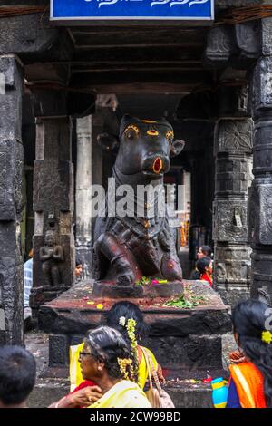 Gros plan du temple hindou avec statue géante noire Du taureau Nandi Banque D'Images