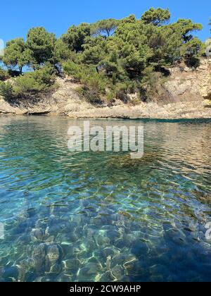 Mer Adriatique turquoise. Falaise côtière pittoresque avec pins verts. Jour ensoleillé d'été. Calme belle eau bleue. Vacances au Monténégro. Banque D'Images