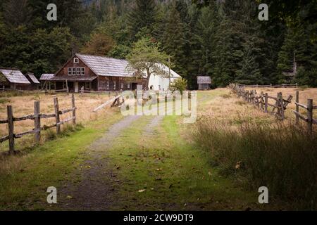 Route de campagne menant à la ferme rustique dans la forêt Banque D'Images