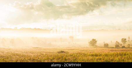 Paysage panoramique d'une prairie dans la brume matinale, le lever du soleil brille sur la plaine dorée et les montagnes dans les fonds. Banque D'Images