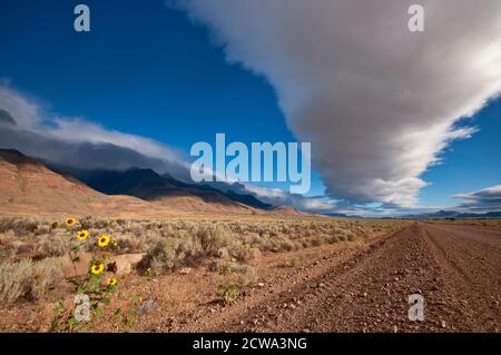 Cumulus géant sur le Steen Road à proximité de la montagne Steens, Alvord Desert, partie de désert du Grand Bassin, Oregon, USA Banque D'Images