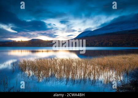 Matin du début de l'automne à la réserve naturelle de Fokstumyra, Dovre, Norvège. Fokstudyra est une zone protégée DE RAMSAR. Banque D'Images