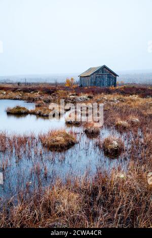 Matin d'automne à Fokstumyra réserve naturelle, Dovre, la Norvège. Banque D'Images