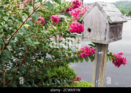 Cabane à oiseaux en bois et fleurs dans un jardin d'été. Banque D'Images