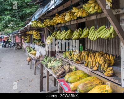 Ambon Island, Indonésie - 11 février 2018 : différentes sortes de bananes accrochées à un marché dans une petite ville de l'île d'Ambon, Maluku, Indone Banque D'Images