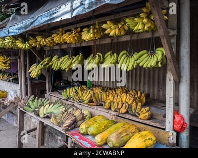 Ambon Island, Indonésie - 11 février 2018 : différentes sortes de bananes accrochées à un marché dans une petite ville de l'île d'Ambon, Maluku, Indone Banque D'Images