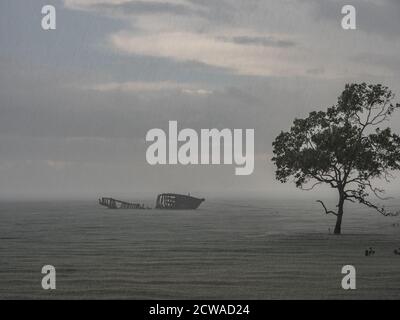 Vue sur les silhouettes d'arbre et le bateau détruit pendant la marée haute sur la mer de Saram. Temps pluvieux. Kaimana, péninsule de Bird's Head, Papouasie occidentale, Indo Banque D'Images