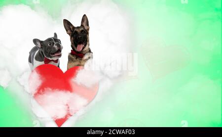 couple de français de bouledogue et de berger allemand se panant et collant hors de la langue, en forme de coeur sur fond vert Banque D'Images