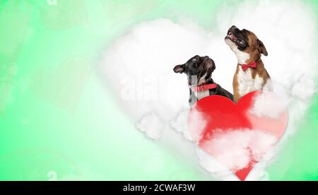 couple de français bulldog et boxer portant le collier rouge et noeud papillon en forme de coeur sur fond vert Banque D'Images