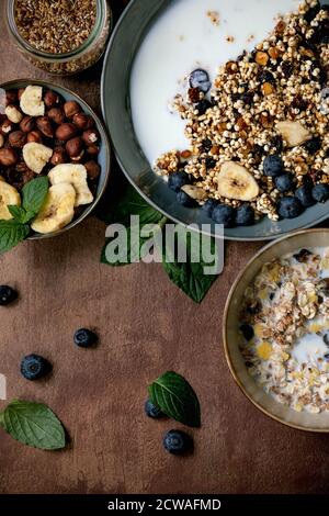 Granola de grain de millet croustillant maison avec fruits secs et noix dans un bol en céramique, avec yaourt, menthe et ingrédients ci-dessus. Texture marron sous-groupe Banque D'Images