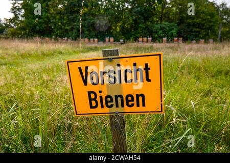 19 septembre 2020, Berlin, un pré avec un panneau d'avertissement jaune et l'inscription: 'Soyez prudent, les abeilles' sur une broche en bois dans le parc botanique de Blankenfelde-Pankow. En arrière-plan, il y a plusieurs ruches devant un cerf-blanc. | utilisation dans le monde entier Banque D'Images