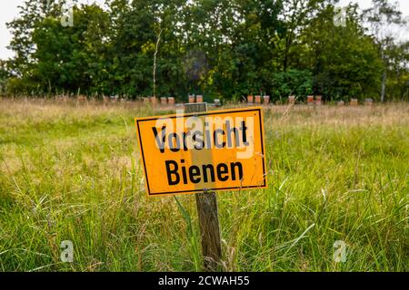 19 septembre 2020, Berlin, un pré avec un panneau d'avertissement jaune et l'inscription: 'Soyez prudent, les abeilles' sur une broche en bois dans le parc botanique de Blankenfelde-Pankow. En arrière-plan, il y a plusieurs ruches devant un cerf-blanc. | utilisation dans le monde entier Banque D'Images