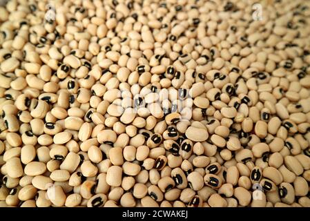 Tas de pois secs à yeux noirs ou de rouge de Californie à vendre au Souq de Manama, Bahreïn Banque D'Images