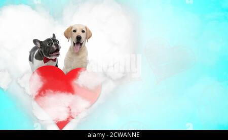 joli chien de taureau français portant un noeud papillon rouge à côté d'un labrador retriever chien panting heureux au-dessus du coeur sur fond bleu Banque D'Images