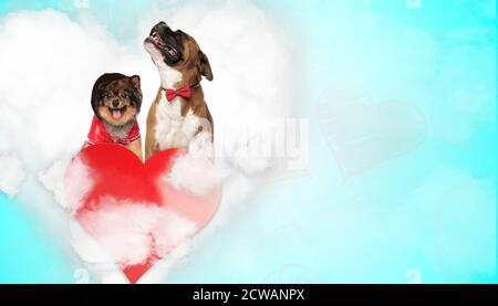 adorable chien spitz portant un sweat à capuche avec laisse à côté d'un chien boxeur hurlant dans la douleur au-dessus du coeur sur fond bleu Banque D'Images