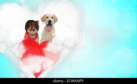 adorable chien spitz portant un sweat à capuche frais à côté d'un labrador le chien d'origine se hante au-dessus du cœur sur fond bleu Banque D'Images