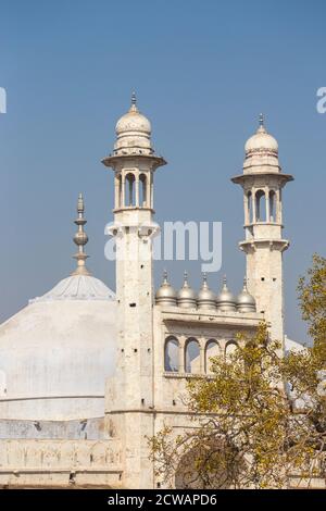 Inde, Uttar Pradesh, Varanasi, la mosquée Gyanvapi - au temple d'or Vishwanath Banque D'Images