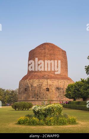 Inde, Uttar Pradesh, Sarnarth, Dhamekh Stupa et Ruins Complex Banque D'Images