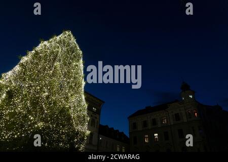 ljubljana main place arbre de noël Banque D'Images