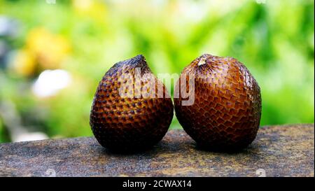 Salak fruit sur la table Banque D'Images