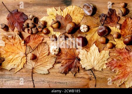 Composition automnale saisonnière avec feuilles d'érable jaune, baies de rowan, châtaignes et citrouilles décoratives sur fond de texture en bois. Pose à plat, Banque D'Images