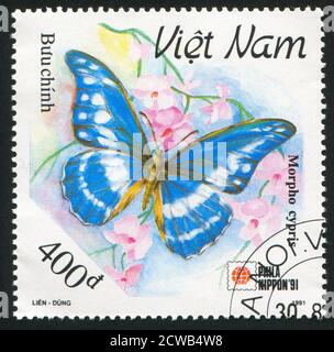 VIET NAM - VERS 1991: Timbre imprimé par le Viet Nam, montre papillon, vers 1991 Banque D'Images