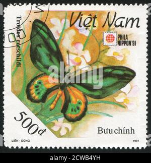 VIET NAM - VERS 1991: Timbre imprimé par le Viet Nam, montre papillon, vers 1991 Banque D'Images