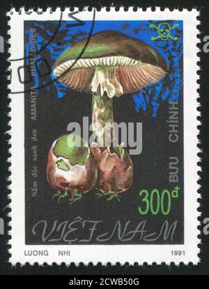 VIET NAM - VERS 1991: Timbre imprimé par le Viet Nam, montre des champignons, vers 1991 Banque D'Images